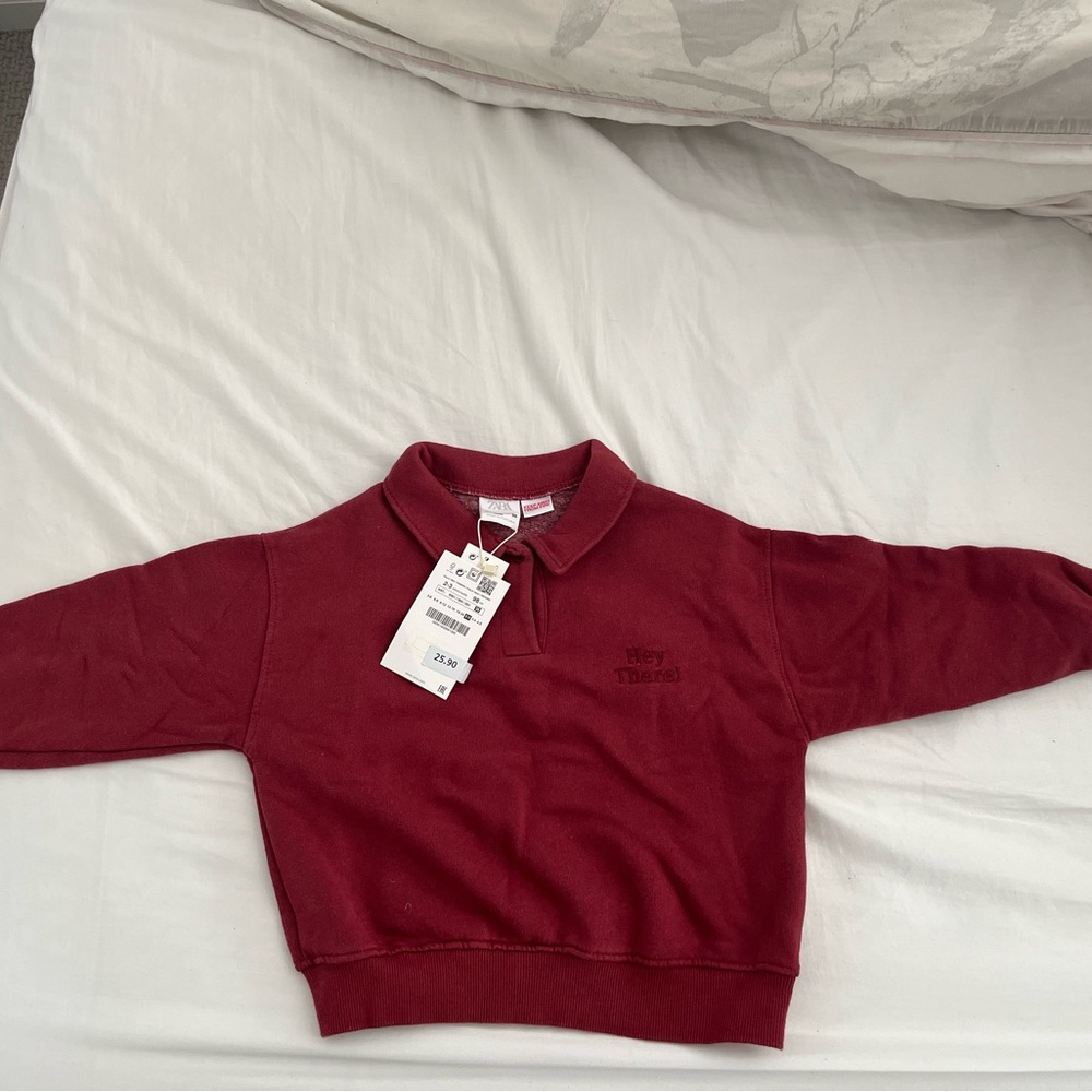 Zara toddler sweatshirt 2-3T